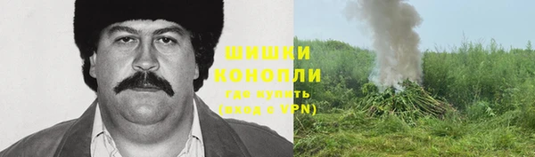ГАЛЛЮЦИНОГЕННЫЕ ГРИБЫ Беломорск