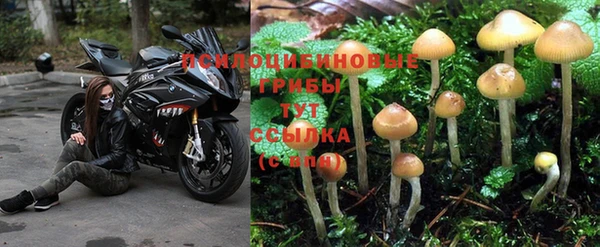 MESCALINE Белоозёрский