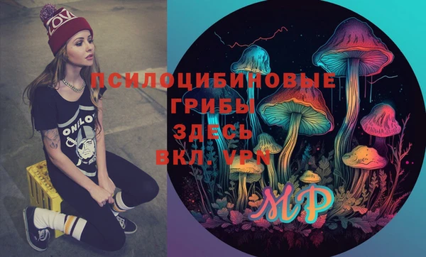 ГАЛЛЮЦИНОГЕННЫЕ ГРИБЫ Беломорск