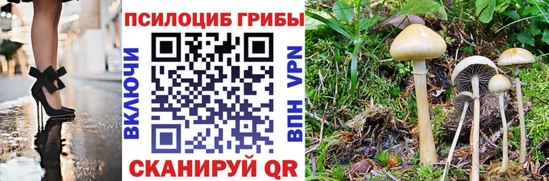 Псилоцибиновые грибы мицелий Абакан