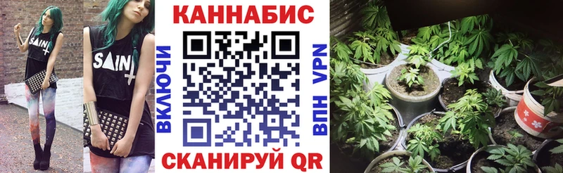 где купить наркоту  Абакан  Конопля гибрид 